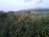 foto0104