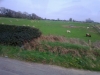 foto0106