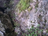 foto0128