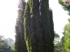 hpim1273