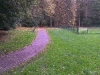 imag0222