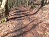IMAG0606.jpg