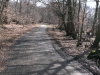 IMAG0625.jpg